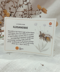 Pins av ildsandbie
